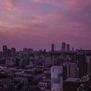 日本女人自慰动态图片

