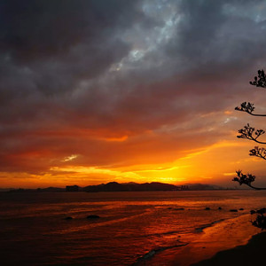 日本女人自慰动态图片
